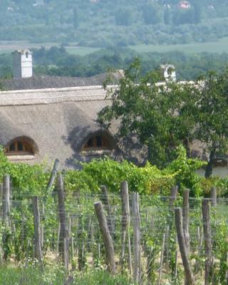 Traditional cottage at Lake Balaton