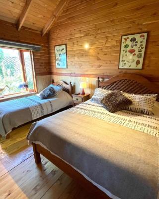 Hostal Pucon Sur