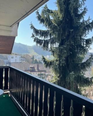 Urlaub im Schwarzwald! GHP440
