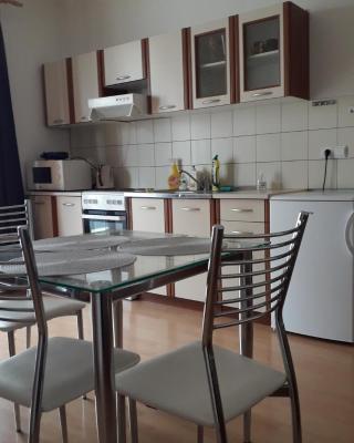 Peškova, byt o 2 pokojích s terasou