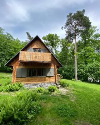 Wooden house in the nature