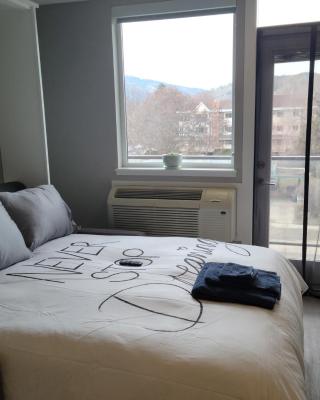 Cozy Studio Suite, 15min walk to downtown