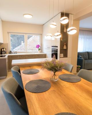 Thermal Lux Weninger Apartman