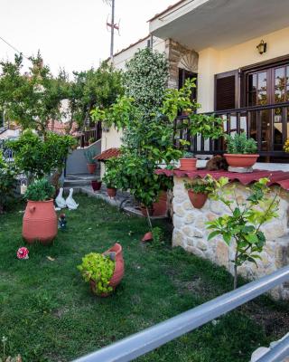 MITSI'S HOUSE