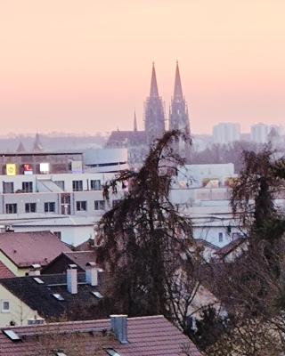 Domblick Regensburg