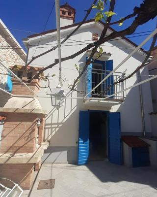 House Rozalia