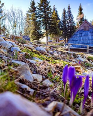 Chalet Encijan - Velika planina