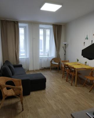 Apartmans in the center with privat parking