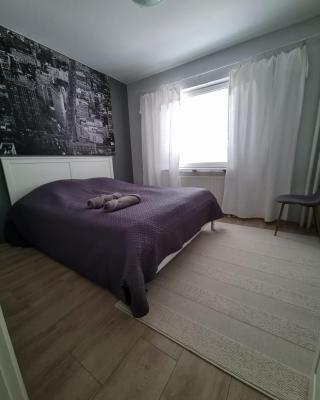 2Room apartment in Amazing place, Free parking