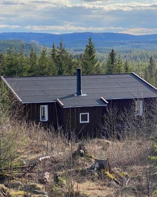 Cozy forest cabin with amazing mountain view