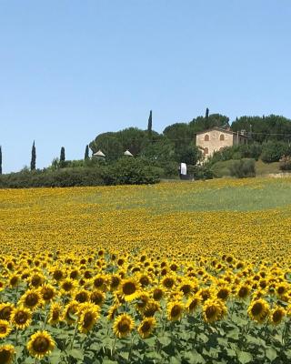 Il vecchio seccatoio