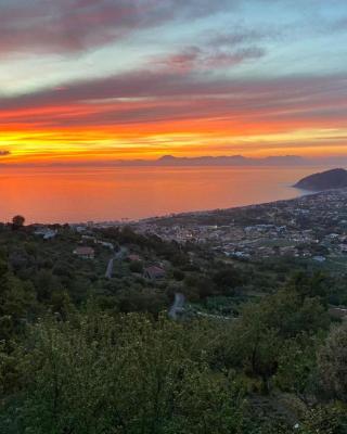 Tenuta La Panoramica