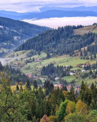 Pensiunea Casa Fierarul din Bucovina