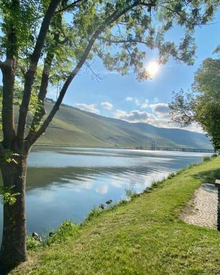 Ferienwohnung Mosel