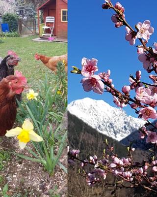 DETENTE NATURE rando, ski , thermes