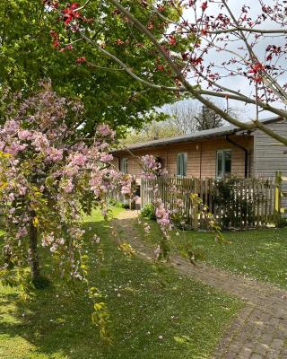 Little Owl Cottage