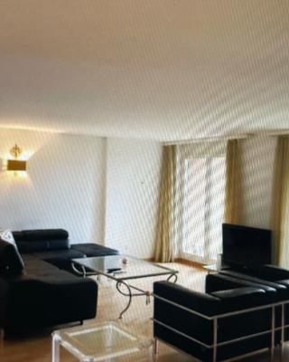 Centrally located, Spacious Modern Apartment