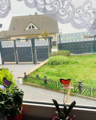 Birgeler Home