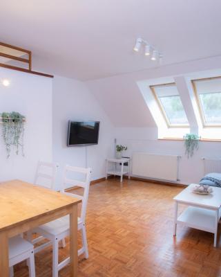 Duplex Apartment Panj Kranjska Gora