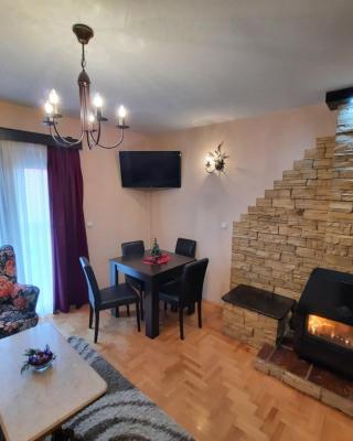 Tara Apartmani Malešević - 1