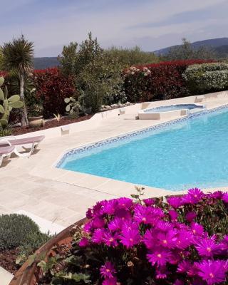 Gîte provençal indépendant avec piscine chauffée : LE SUY BIEN