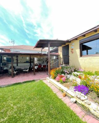 Summer House