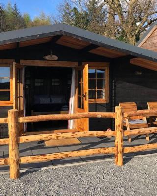 Luxury Cabin in the Magical Galloway Forest Park