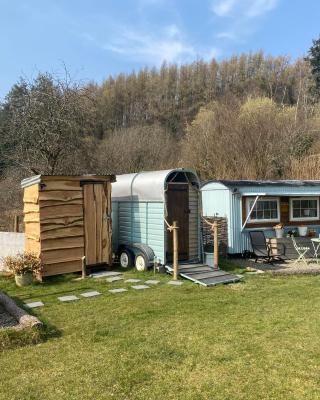 Belan Bluebell Woods Shepherds Hut