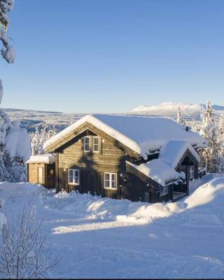Cabin with sauna in Trysil