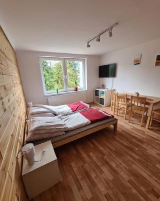 Apartamenty Willa NaSkarpie Jacuzzi Sauna Basen
