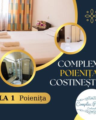 Vila Poienita