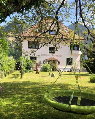 Ferienwohnung Landhaus zum Sonnenschein