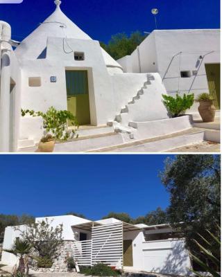 Syconium Trullo and Lamia Gea Charme and History
