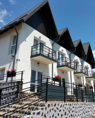 Conacul Doamnei Nucșoara