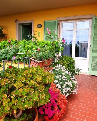 Casa Marta