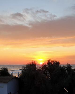 Tecoma Rooms Mamaia