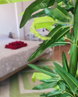 Apartament puerto
