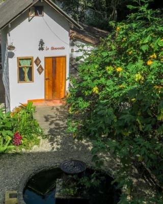 Finca Los Abuelos - La Planta
