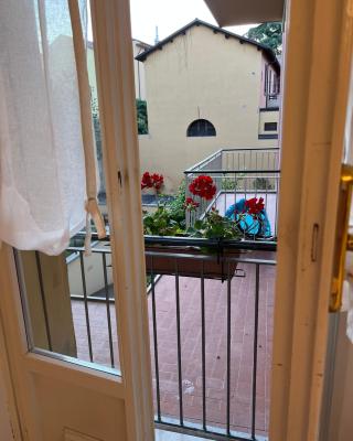 Moonlight Centro Bologna