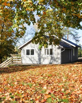 1 Bedroom Pet Friendly Home In Säffle
