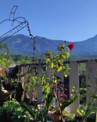 Tetebatu Terrace Homestay