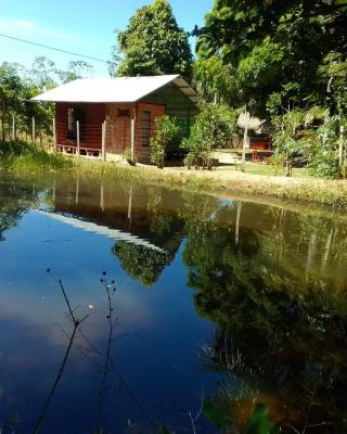 Albertico Jungle House