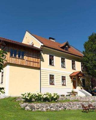 Apartment Hollenstein