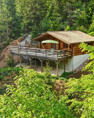 Le Refuge de Belbriette, chalet au coeur de la nature avec spa