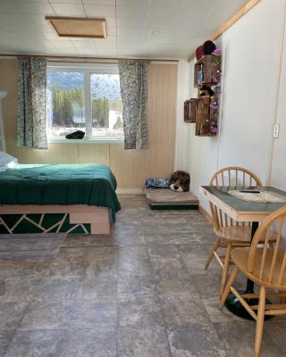 Jade City Dog House
