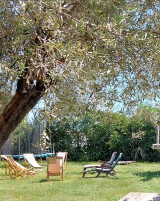 L'Esperluette en Camargue