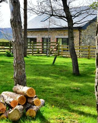 Chic cottage near Elan Valley and Builth Wells