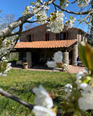 Agriturismo Monte Gusciani