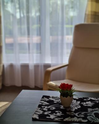 Kambarių nuoma Salantuose