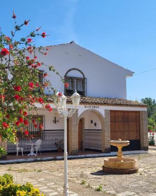 Riocorvo